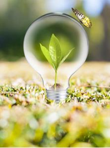 纺织产业质量提升大会今日举行